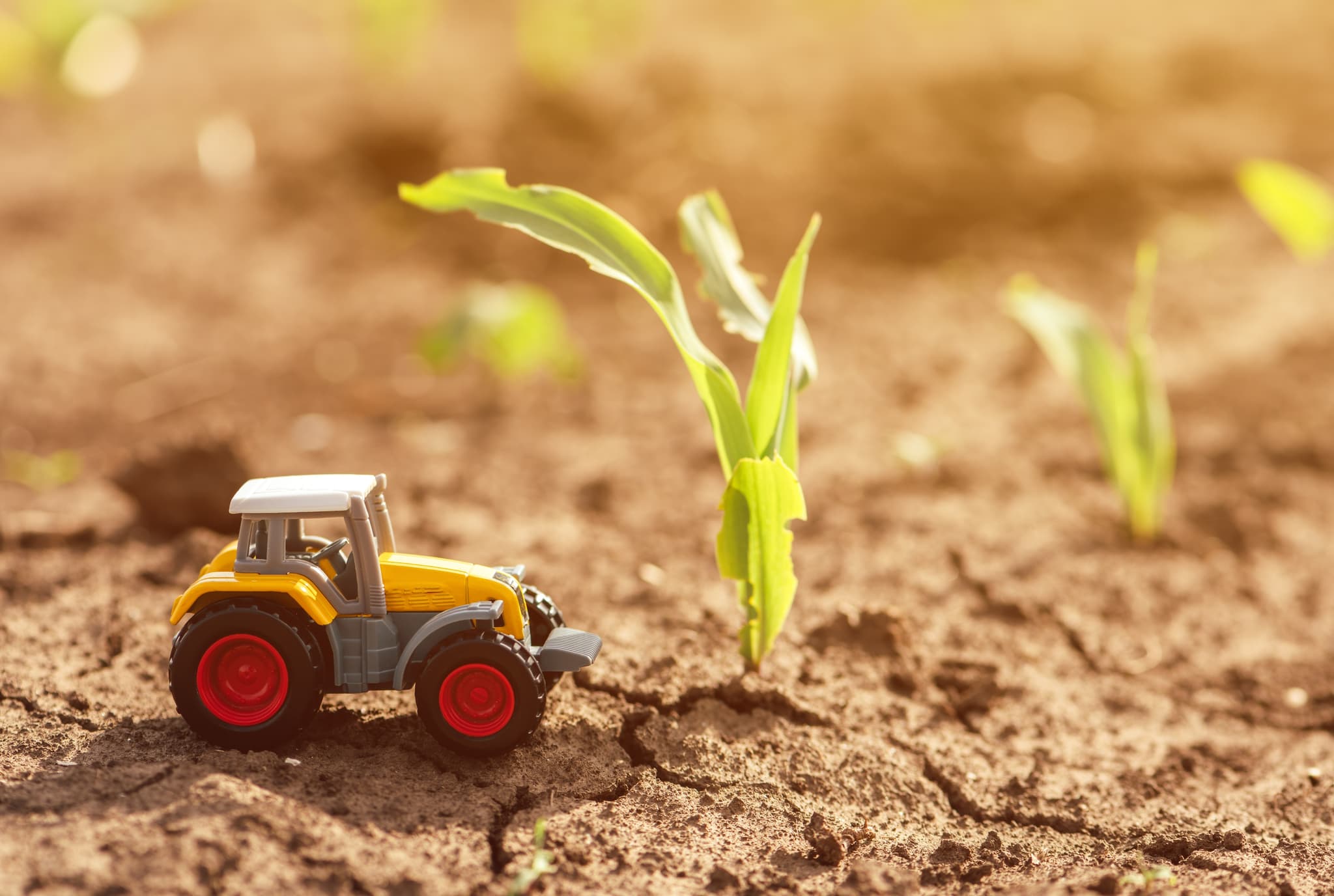 Agriculture